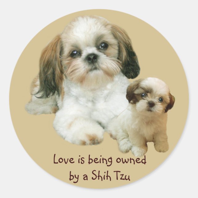 Shih Tzu Buddies Sticker (Vorderseite)