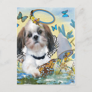 Shih Tzu Butterfly Chaser Cards Postkarte