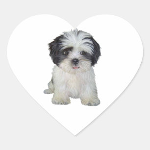 Shih Tzu (bw) - Welpe Herz-Aufkleber