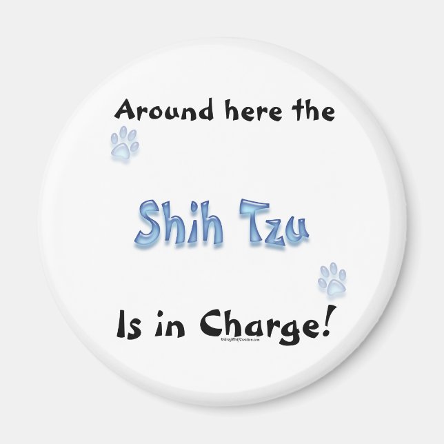 Shih Tzu Charge - Magnet (Vorne)