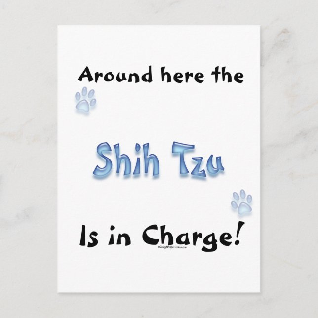 Shih Tzu Charge Postkarte (Vorderseite)