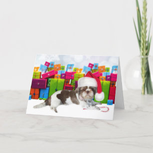 Shih Tzu Christmas Dog Karte