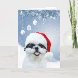 Shih Tzu Christmas Feiertagskarte