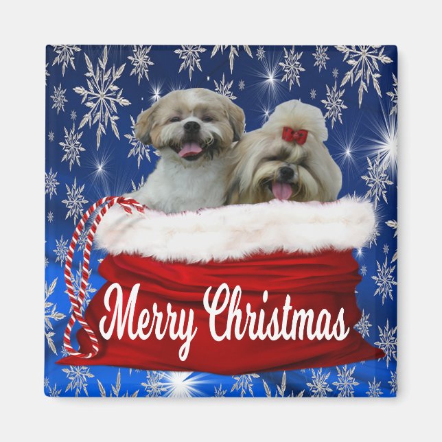 Shih tzu Christmas Magnet (Vorne)