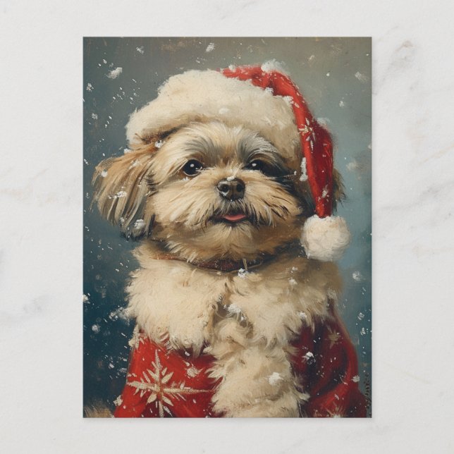 Shih Tzu Christmas Postkarte (Vorderseite)