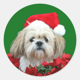 Shih Tzu Christmas Runder Aufkleber