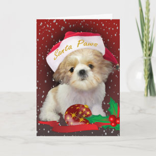Shih Tzu  Christmas Santa Paws Card Feiertagskarte