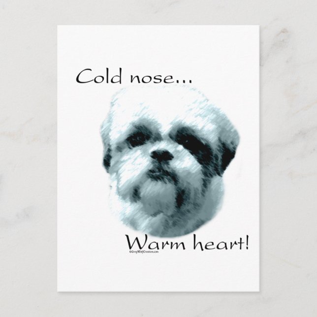 Shih Tzu Cold Nose Warmes Herz Postkarte (Vorderseite)