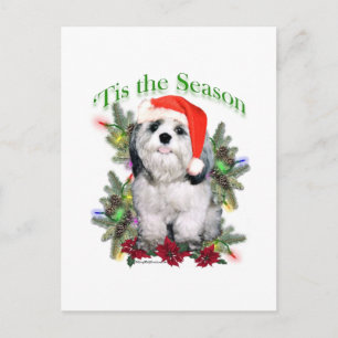 Shih Tzu 'Dies ist die Jahreszeit Postkarte