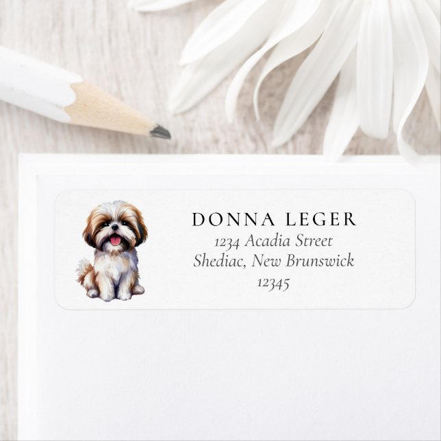 Shih Tzu Dog-Adresse (Insitu)