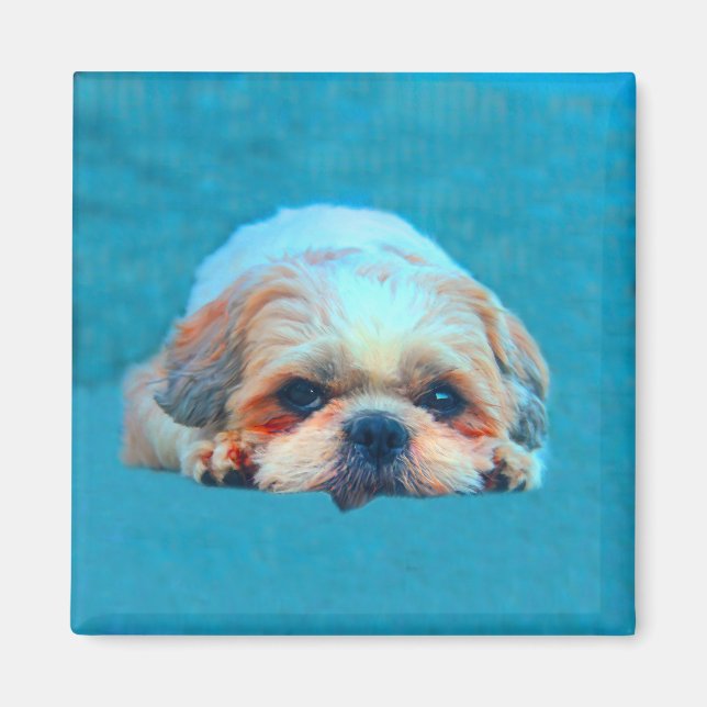 Shih Tzu Dog Aquarellkunst Portrait Magnet (Vorne)