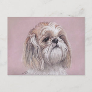 Shih tzu Dog Art Postcard Postkarte