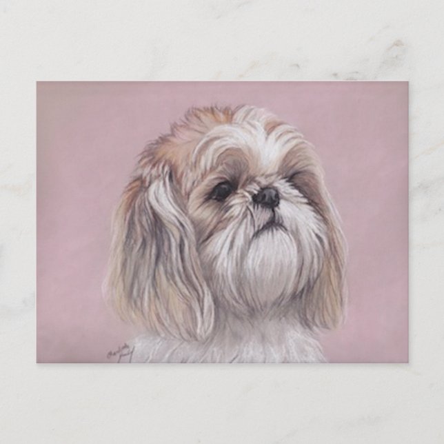 Shih tzu Dog Art Postcard Postkarte (Vorderseite)