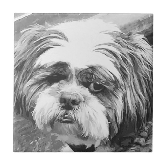 SHIH TZU DOG FLIESE (Vorderseite)