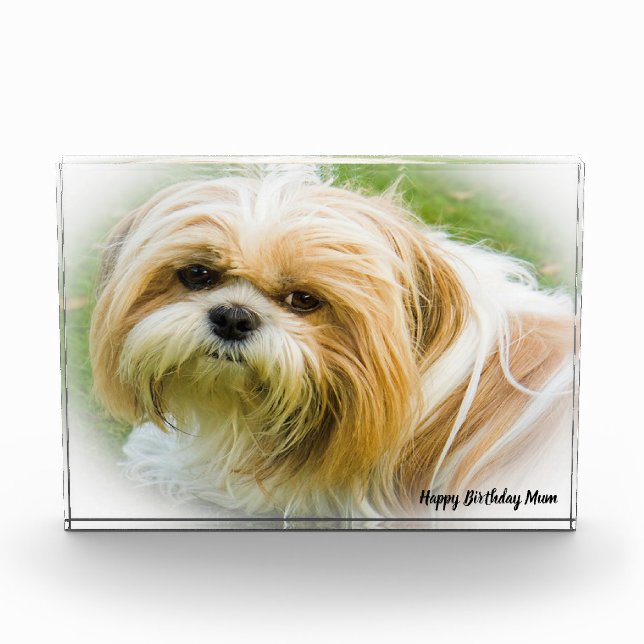 Shih Tzu Dog Fotoblock (Vorderseite)