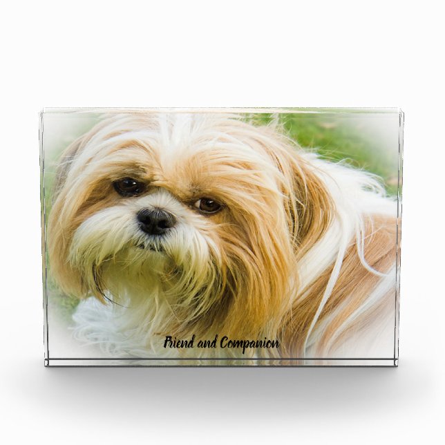 Shih Tzu Dog. Fotoblock (Vorderseite)