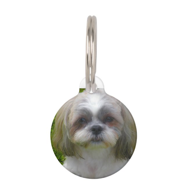 Shih Tzu Dog. Haustiermarke (Vorderseite)