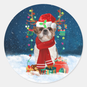 Shih Tzu Dog in Snow mit Weihnachtsgeschenken Runder Aufkleber