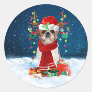 Shih Tzu Dog in Snow mit Weihnachtsgeschenken Runder Aufkleber