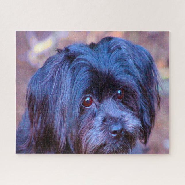 Shih Tzu Dog Jigsaws. Puzzle (Horizontal)