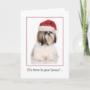 Shih Tzu Dog mit Funny Weihnachtsmannmütze Weihnac Karte