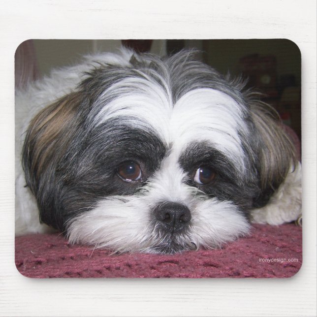 Shih Tzu Dog Mousepad (Vorne)