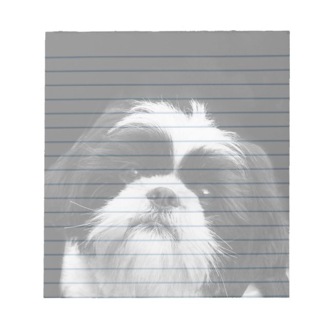 Shih Tzu dog notepad Notizblock (Vorderseite)