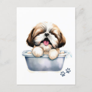 Shih Tzu Dog Postkarte