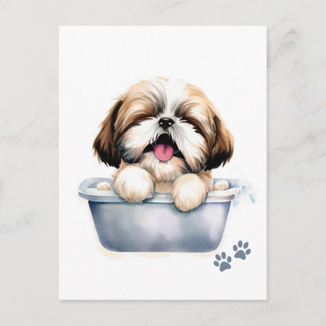 Shih Tzu Dog Postkarte (Vorderseite)