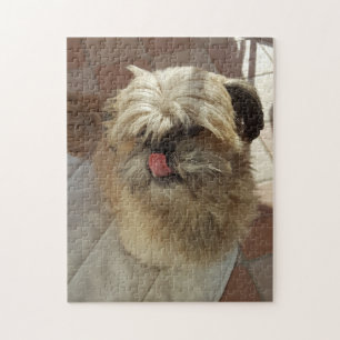 Shih Tzu dog-Puzzle Puzzle