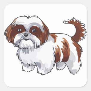Shih Tzu Dog Quadratischer Aufkleber