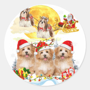 Shih Tzu Dog Santa Sleigh Weihnachtsgeschenk Runder Aufkleber