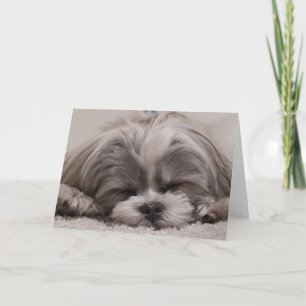 Shih Tzu Dog Sleeping Karte