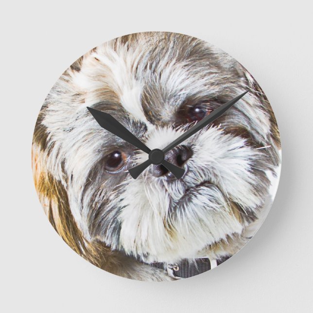 Shih Tzu Dog Wall Clock Runde Wanduhr (Vorderseite)