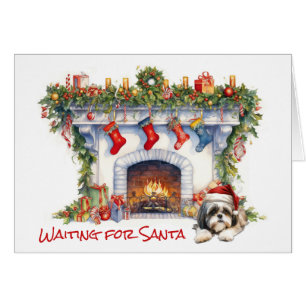 Shih Tzu Dog warten auf Weihnachts-Feuerplatz