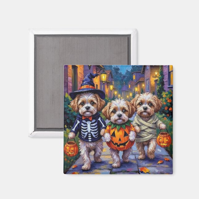 Shih Tzu Dogs Trick-or-Treating Halloween Costumes Magnet (Vorderseite/Rückseite)