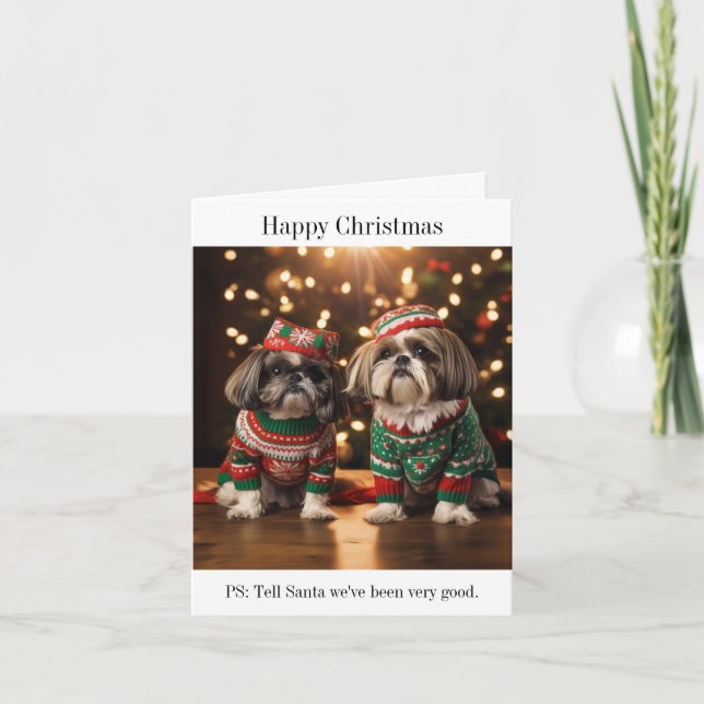 Shih Tzu Dogs Weihnachtskarte Karte (Vorderseite)