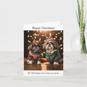 Shih Tzu Dogs Weihnachtskarte Karte