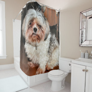 Shih Tzu Duschvorhang