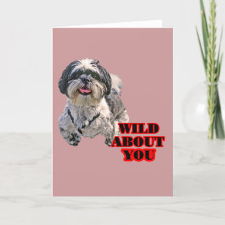 Shih Tzu Feiertagskarte