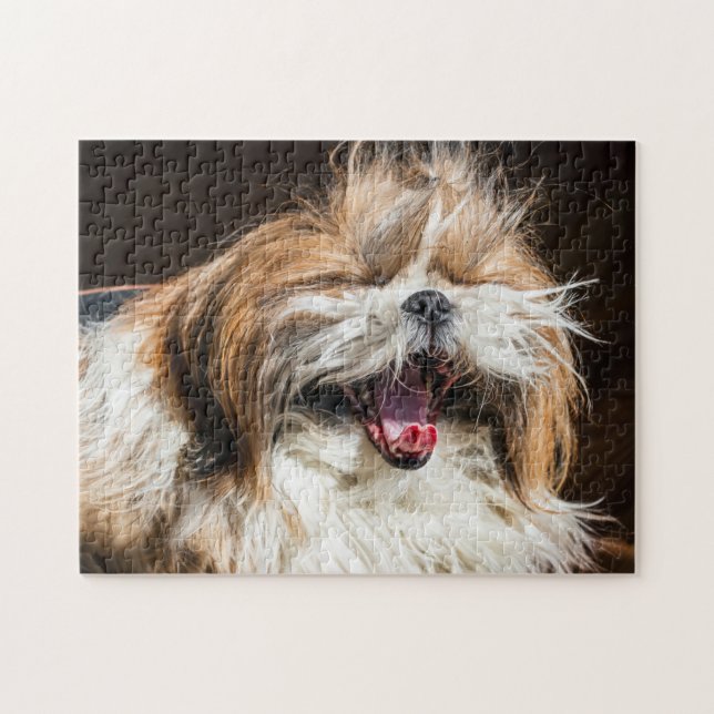 Shih tzu gähnend lachend lustig niedlich puzzle (Horizontal)