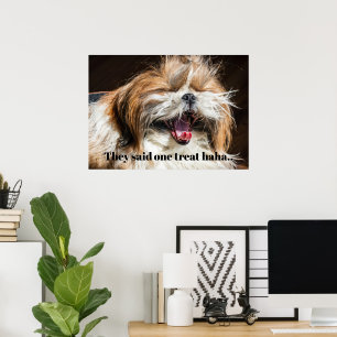 Shih tzu gähnend lachender lustiger Text anpassen Poster