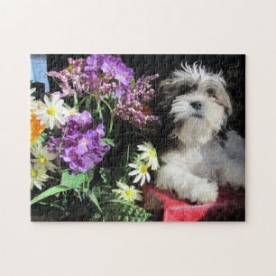 SHIH TZU! … gazuntite. Puzzle