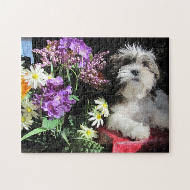 SHIH TZU! … gazuntite. Puzzle (Horizontal)