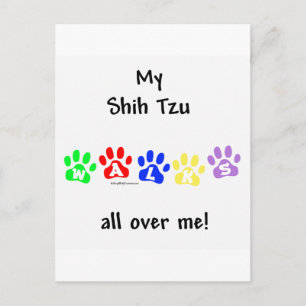 Shih Tzu geht durch Sie Postkarte
