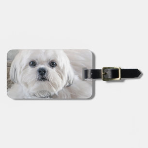 Shih Tzu Gepäckanhänger