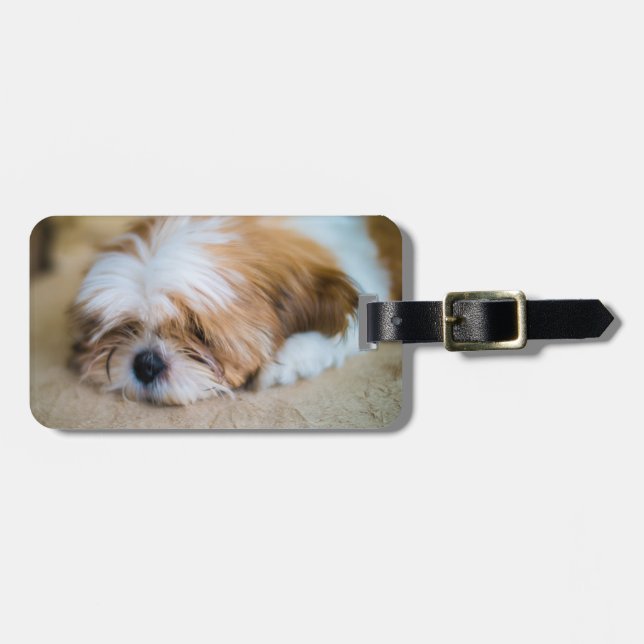 Shih Tzu Gepäckanhänger (Vorderseite horizontal)
