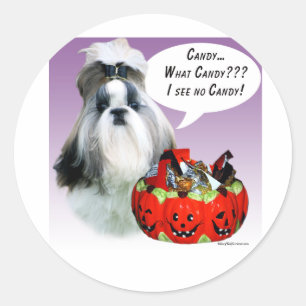 Shih Tzu (gepflegt) Halloween Candy Runder Aufkleber