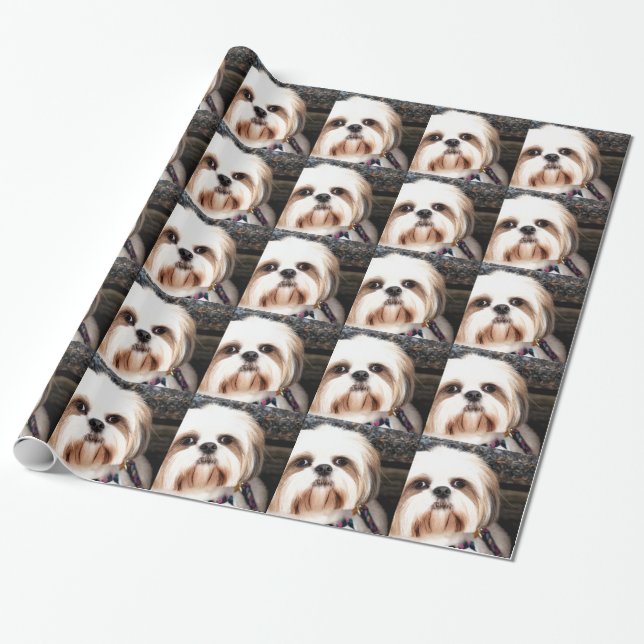 Shih Tzu Geschenkpapier (Ungerollt)