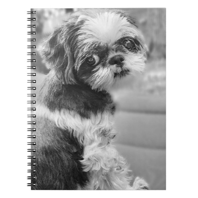 Shih Tzu Girl Notebook Notizblock (Vorderseite)